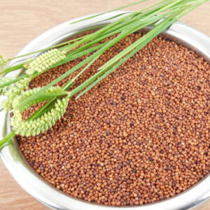 Finger Millet (Madua)