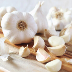 Garlic