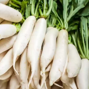 Radish