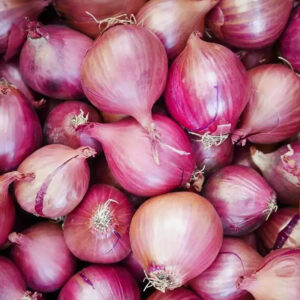 Onion (Pyaz)