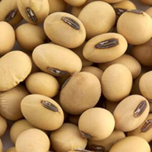 Soyabean