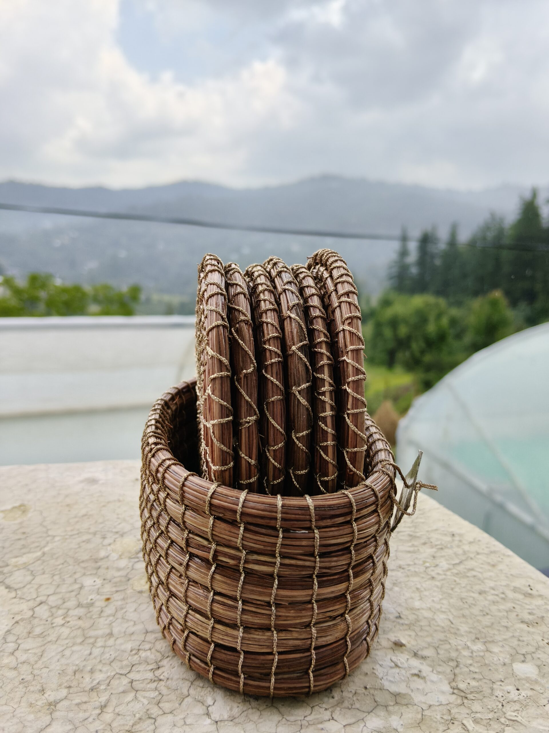 Pirul Tea Coaster - Image 2